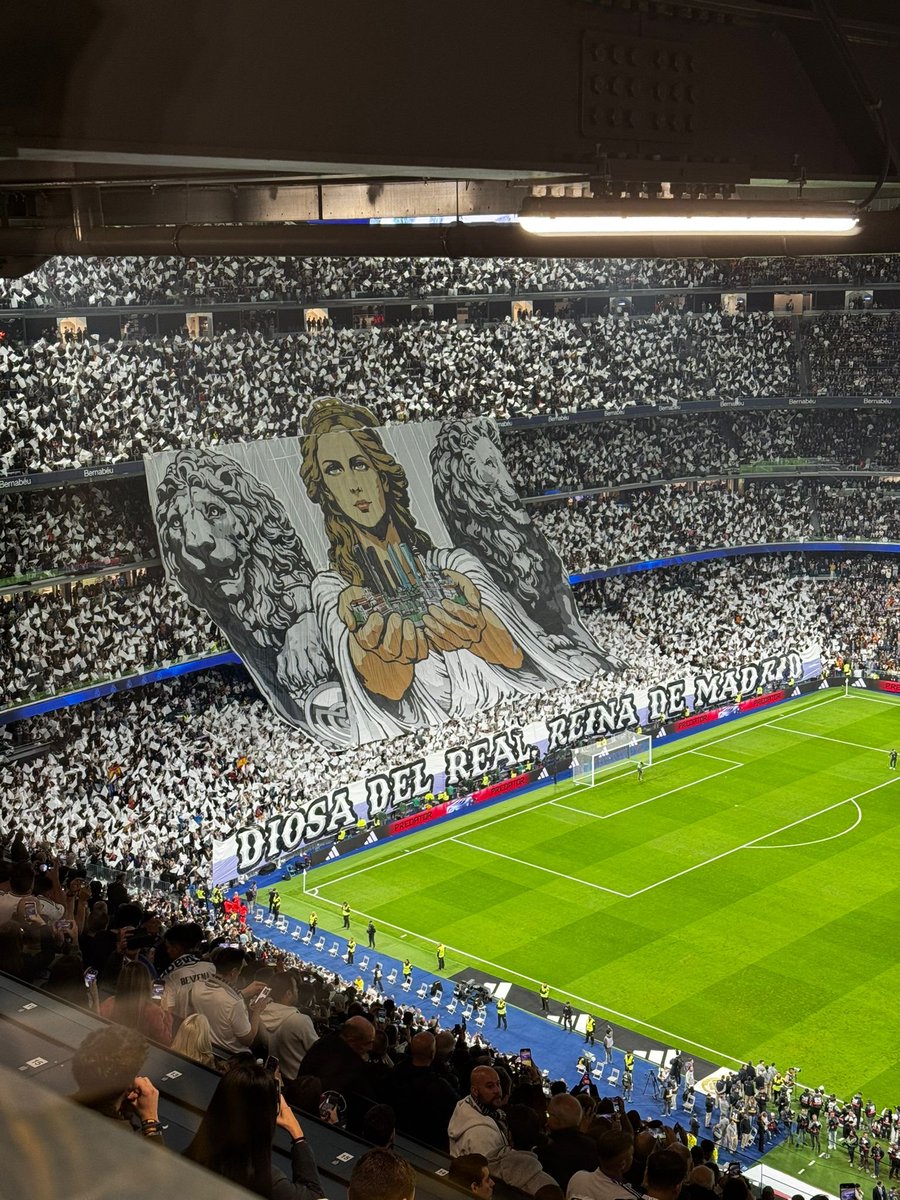 Madrid Zone tweet media