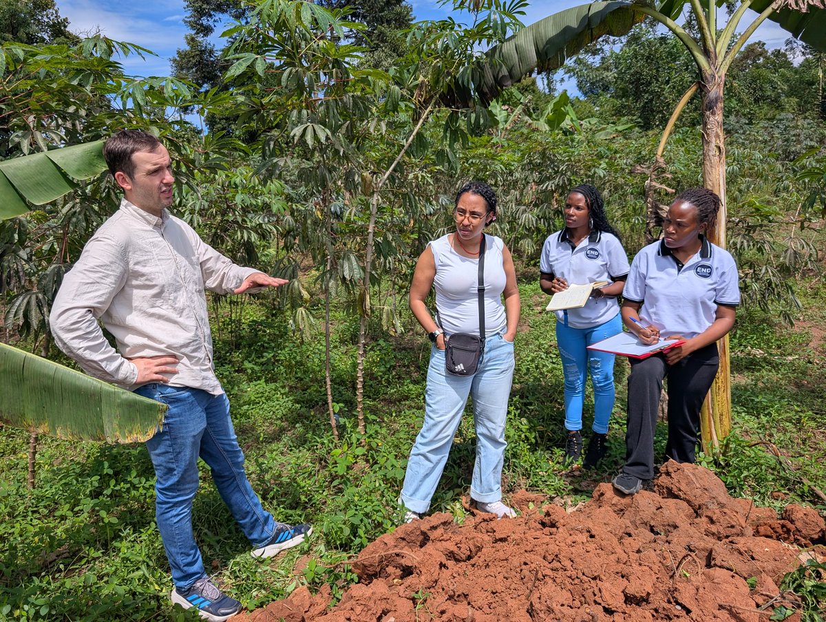 Nirere Sadrach tweet media