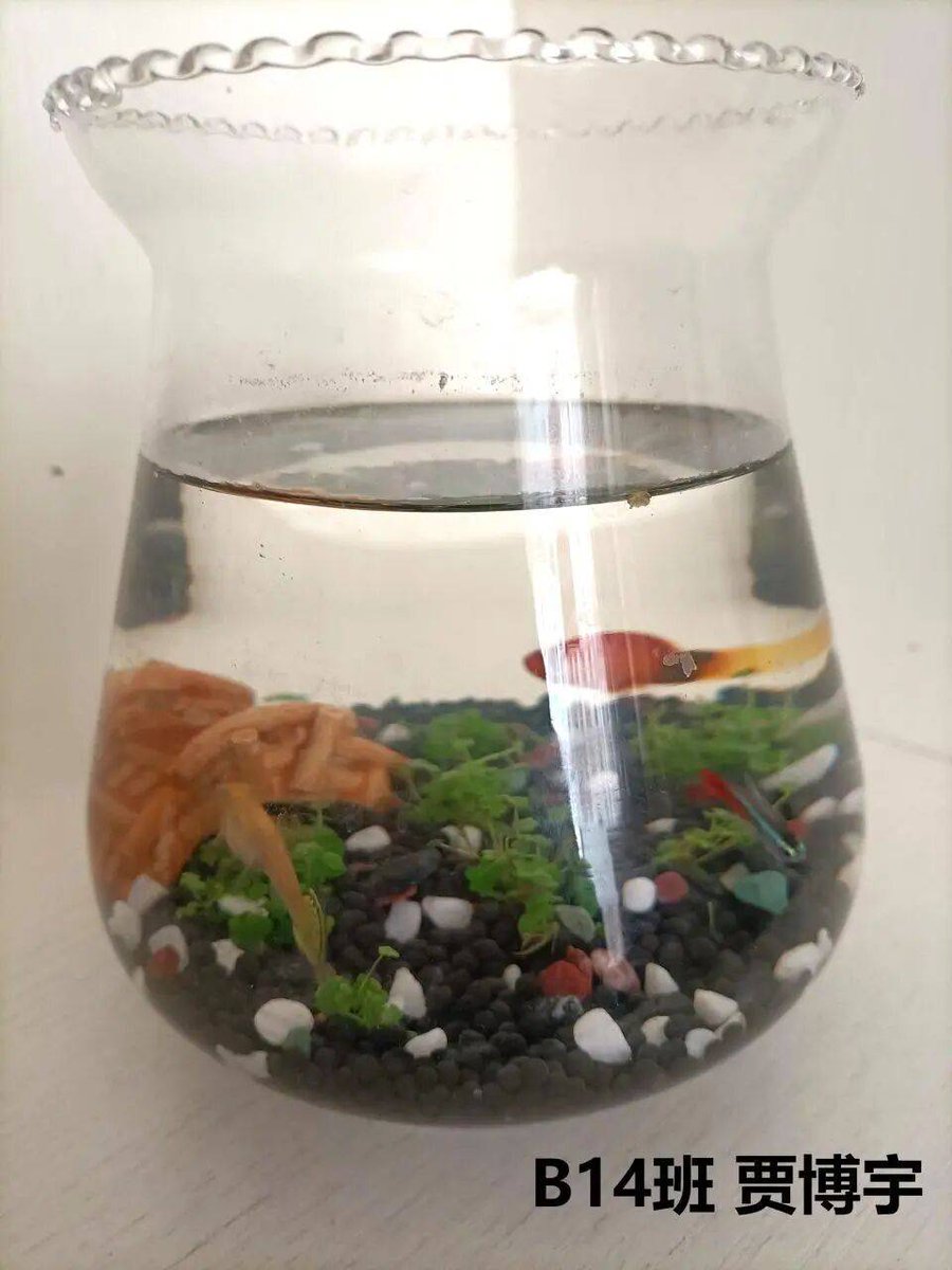 Mr.Elias tweet media