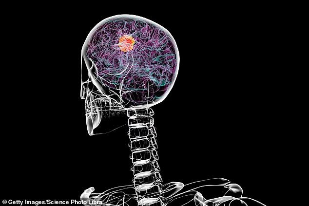 El Arte De La Vida tweet media