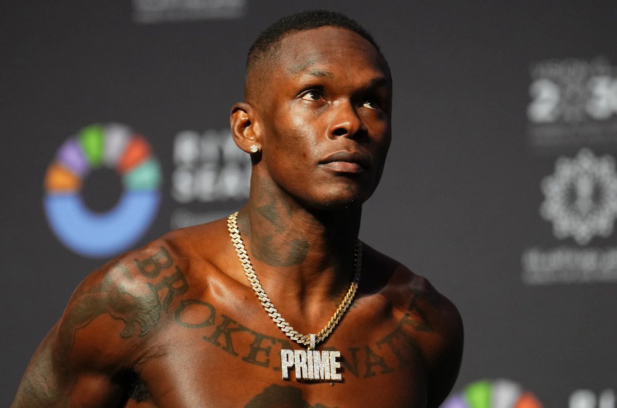 Blind Bear 🐻🕶️ tweet media