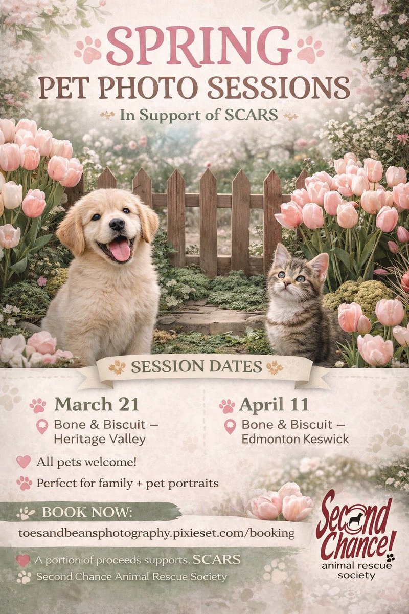 Second Chance Animal Rescue Society (SCARS) tweet media