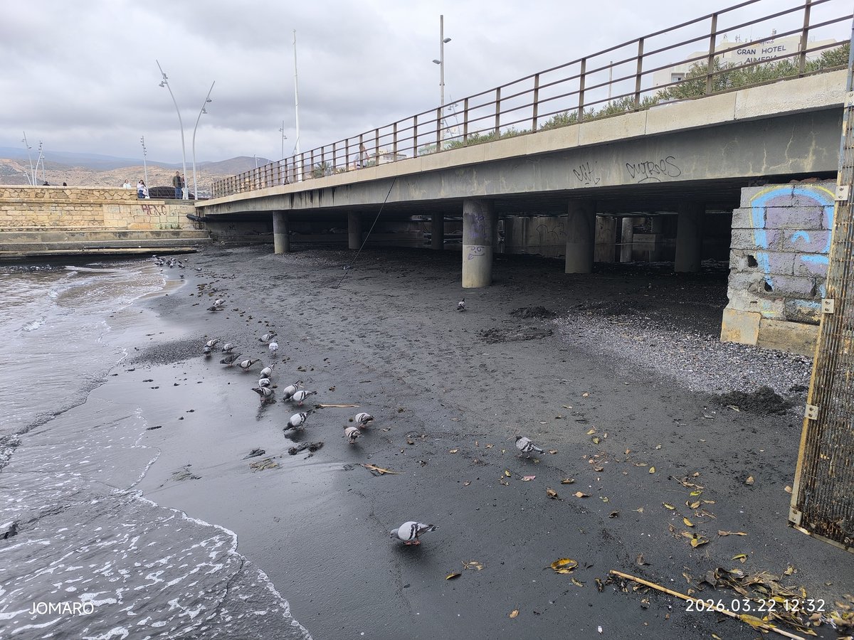 JOSÉ M ROMÁN tweet media