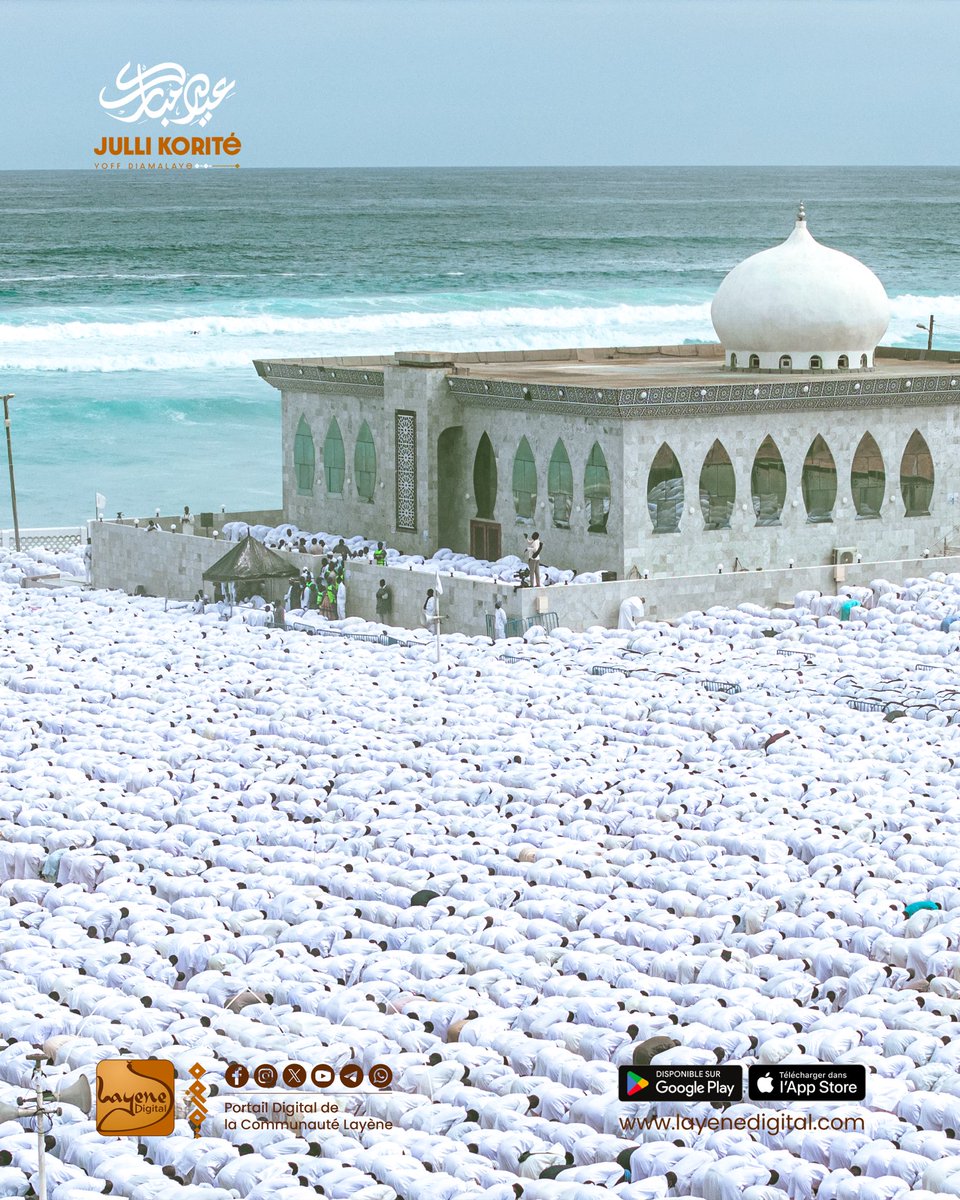 Layene Digital tweet media