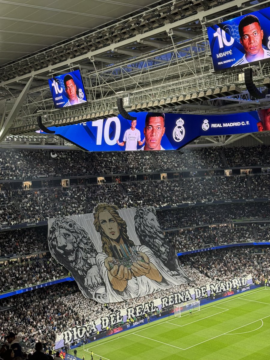 Diego Mengual tweet media