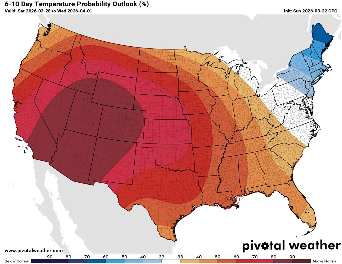 Max Velocity tweet media