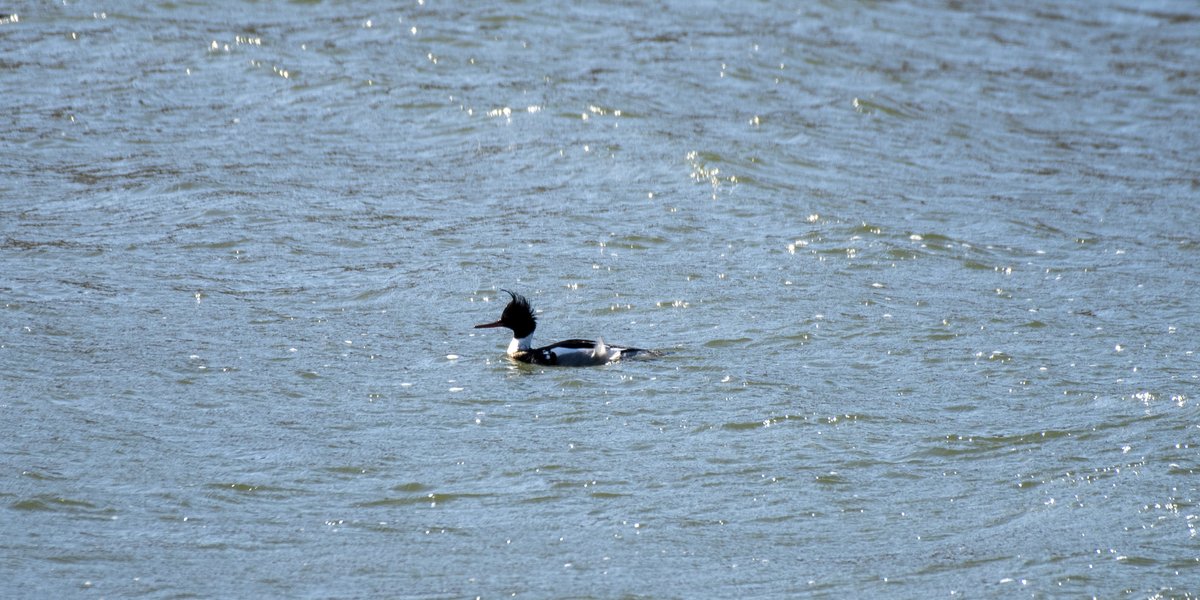 Dave Edwards jft97 🇺🇦 💙⭐⭐⭐⭐⭐⭐ 🇪🇺 tweet media