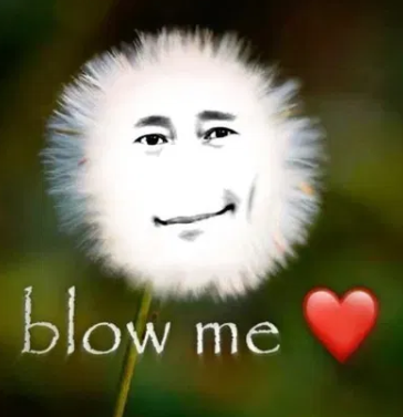 tapwater tweet media