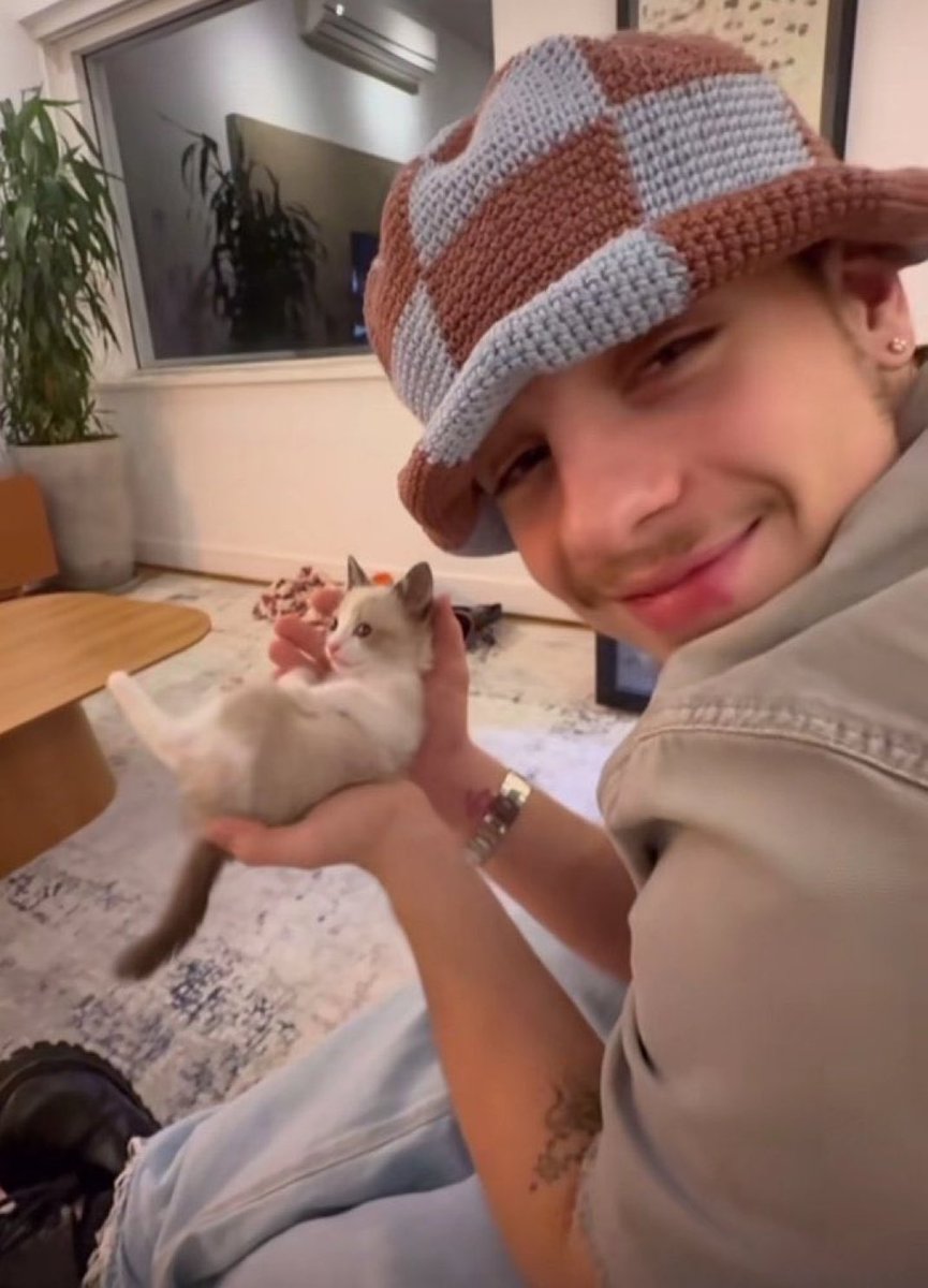 j̶ ̶u̶ ̶l̶ ̶i̶ ̶a̶ = tweet media