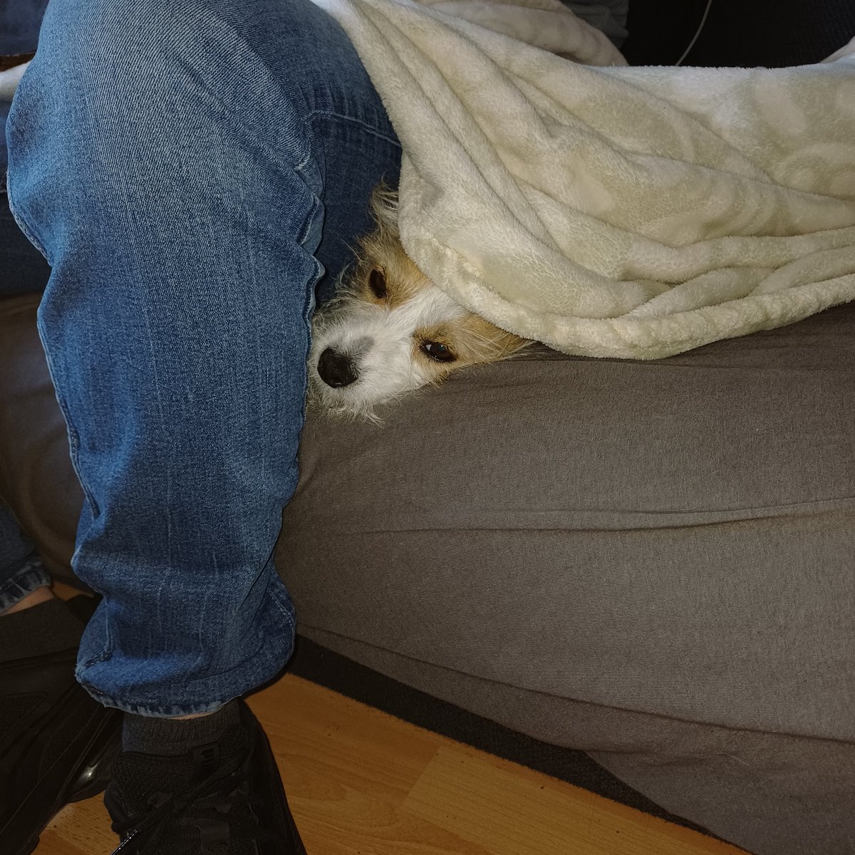 Lili, die neue.... tweet media