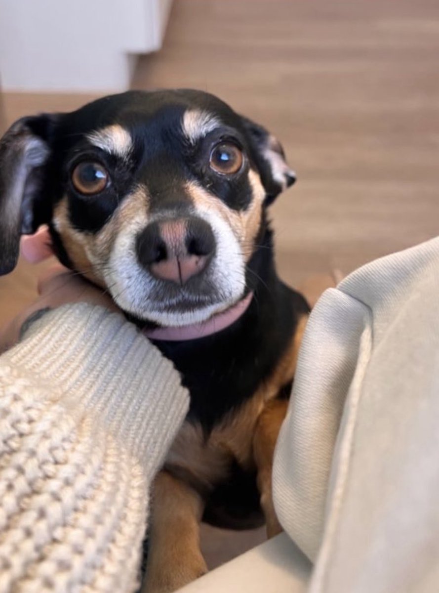 JESSICAKES tweet media