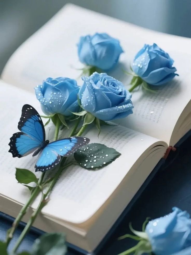 𓅇꙰⑅⃝🧚♀️𝄞زَخـــــة_إحْسَـــاس𓅇꙰⑅⃝🧚♀️𝄞 tweet media