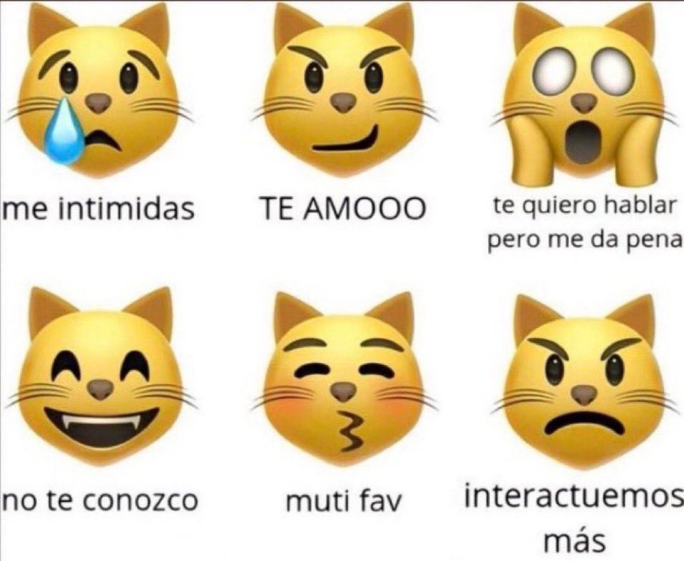 keki¹⁶ ⁴³ ★ tweet media