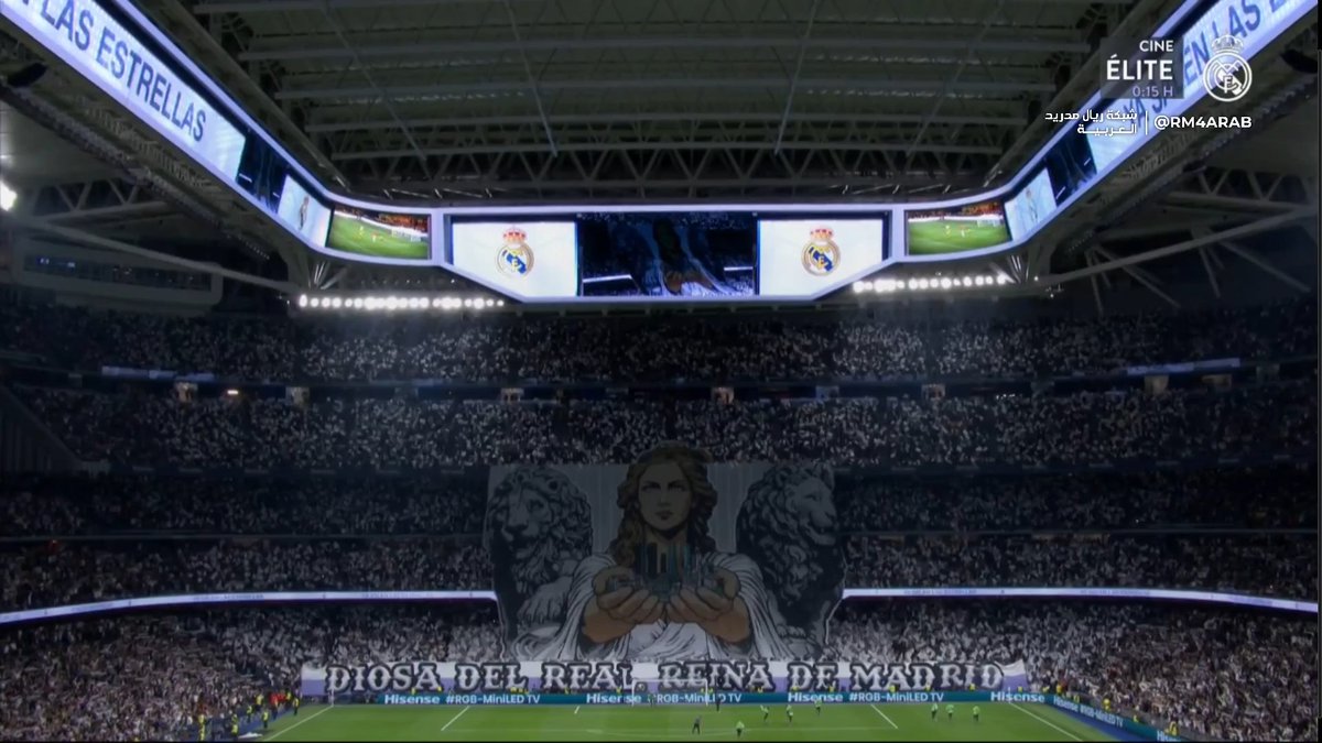 محمود مجيد tweet media