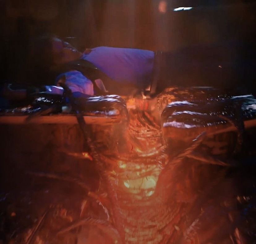 ♥︎paypay♥︎ || lesbyler enthusiast tweet media