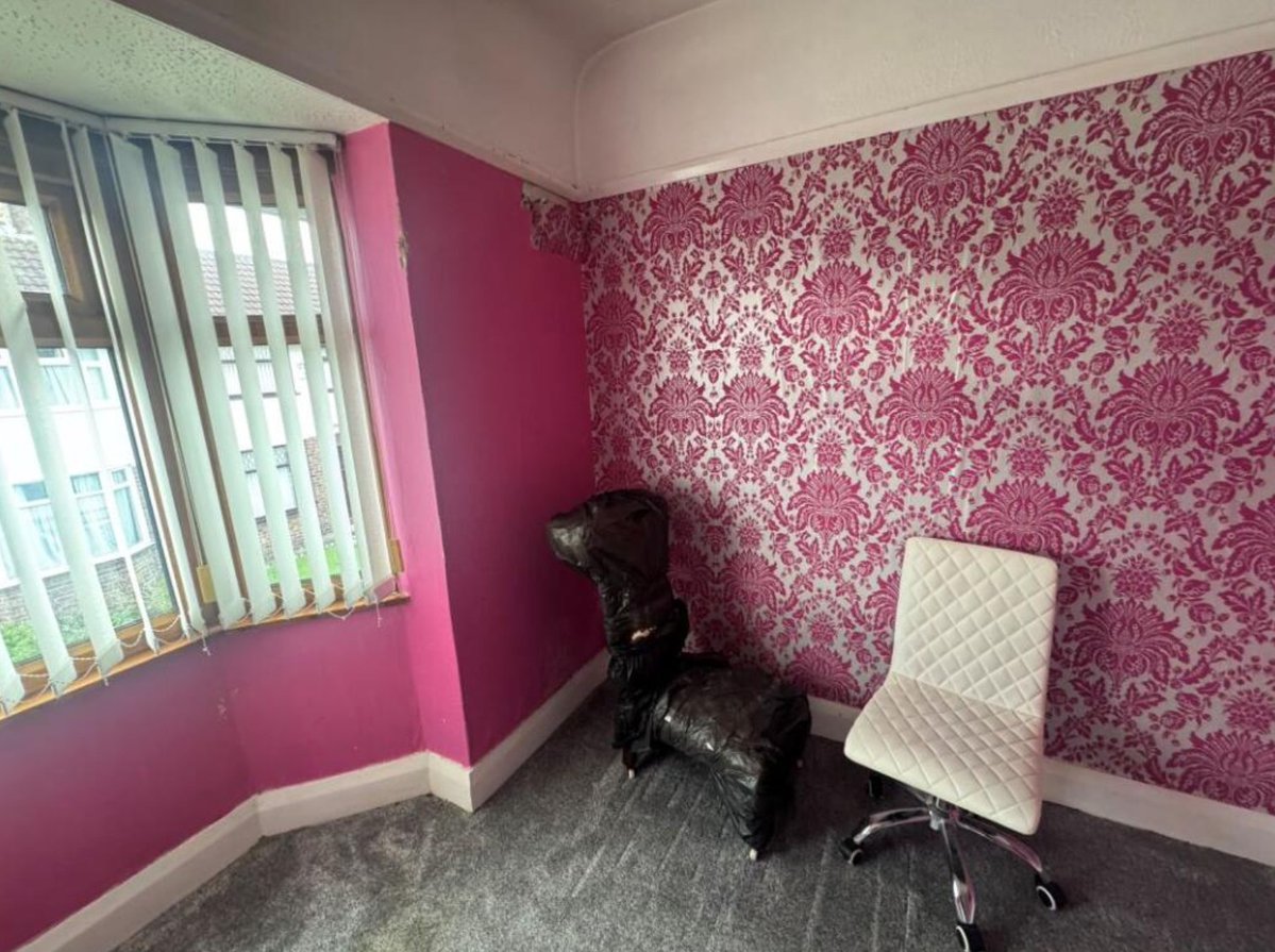 🪨 Geop! 🪨 tweet media