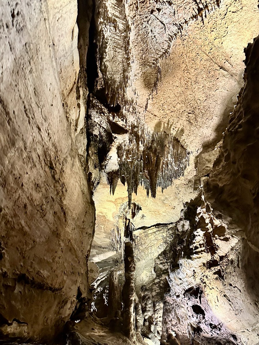 MsSabers's tweet photo. Me- You can see the erosion from the water. Student- We learned about that this year! Me- Yes, that is literally why we are here. 😂 @rubyfallscave @IsonSpringsES @alexbatesedu @AderoCarter https://t.co/OyvpUW7vm2