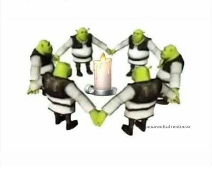 Rat🐭🇻🇪 tweet media