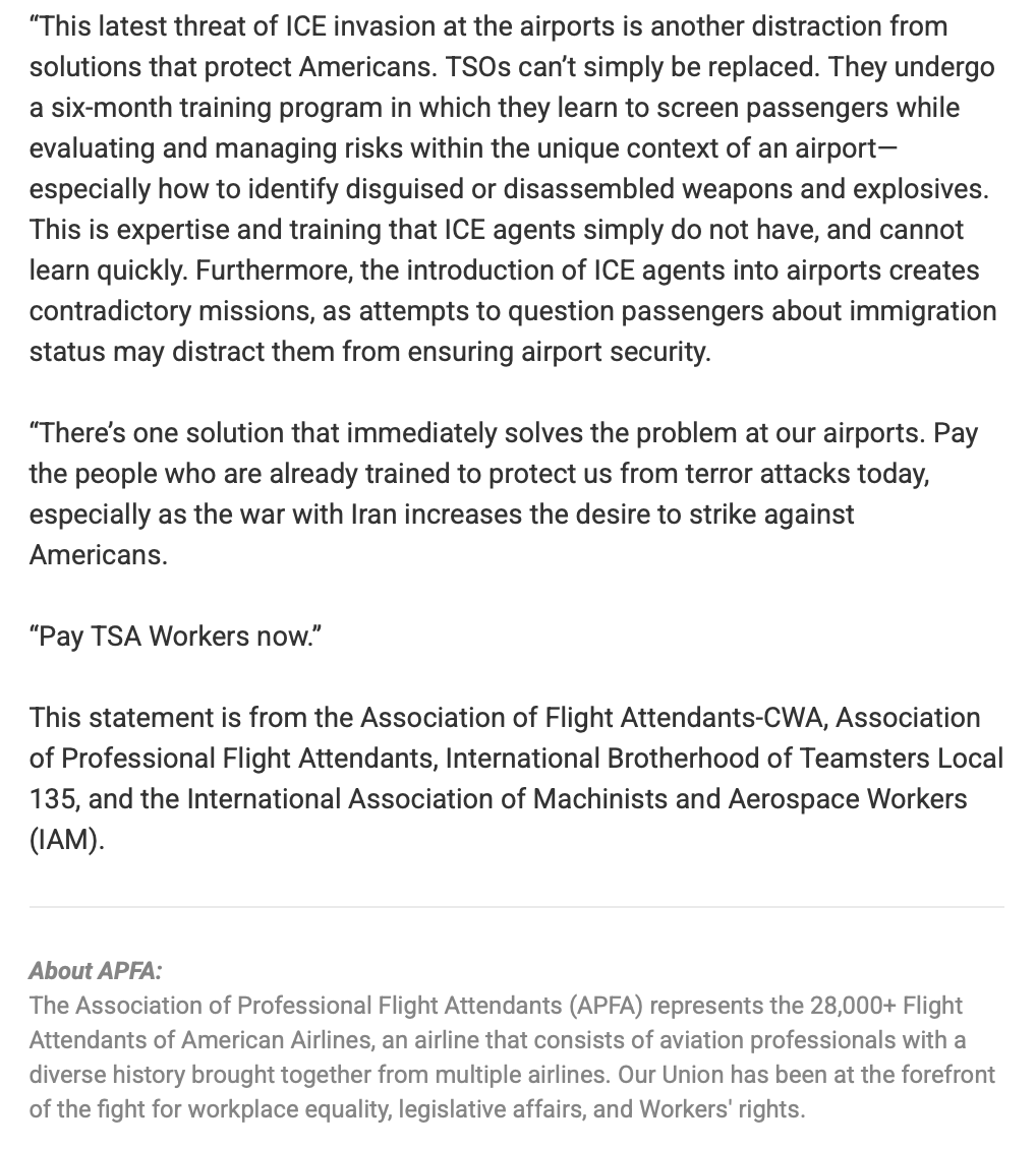 U.S. Flight Attendants Demand Pay for TSA to Keep Airports Secure, Not Create Havoc with ICE