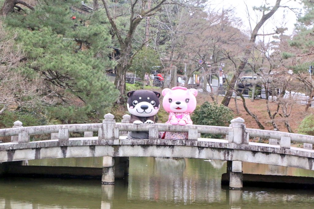 和み柴っこ【公式】 tweet media