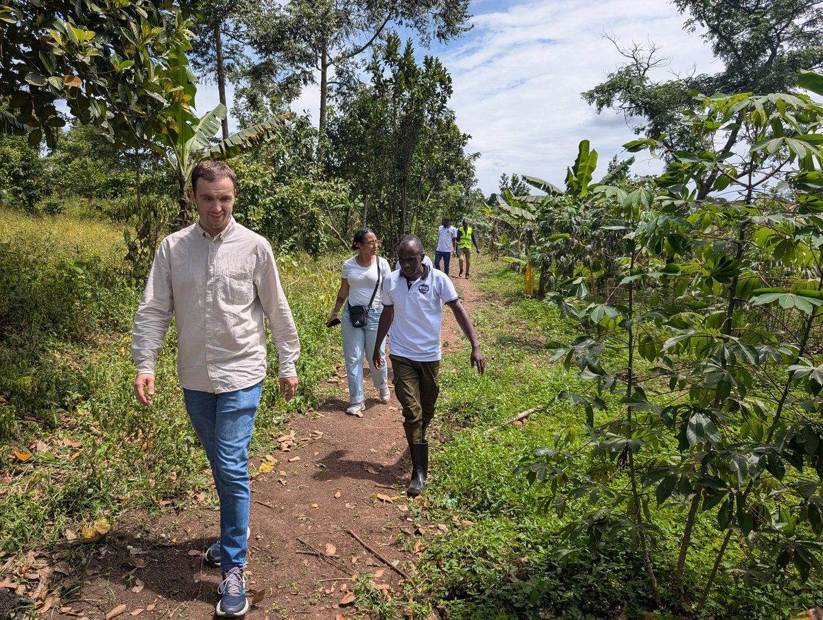 Nirere Sadrach tweet media