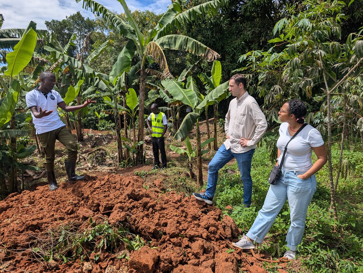 Nirere Sadrach tweet media