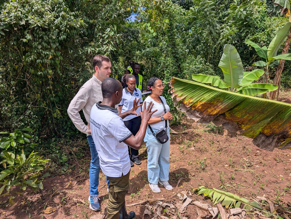 Nirere Sadrach tweet media