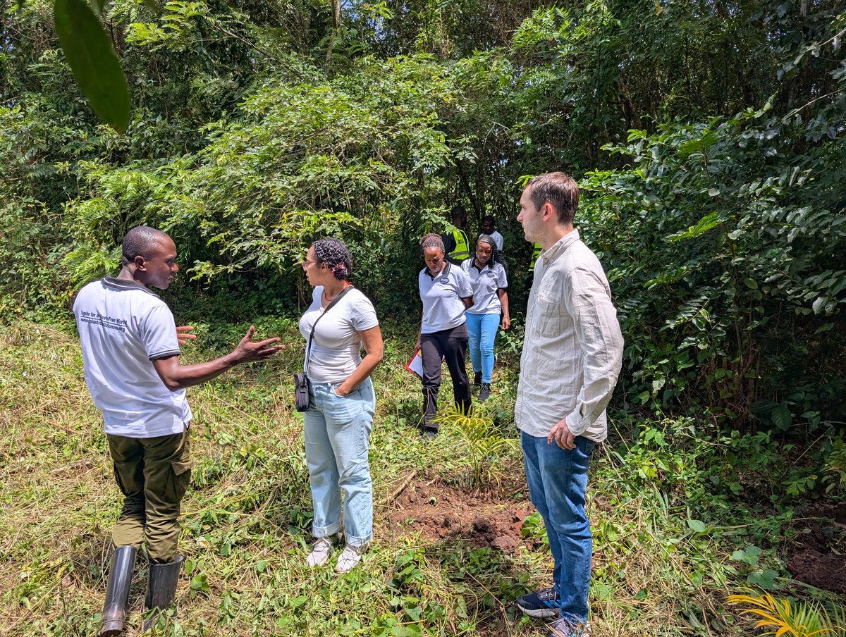 Nirere Sadrach tweet media