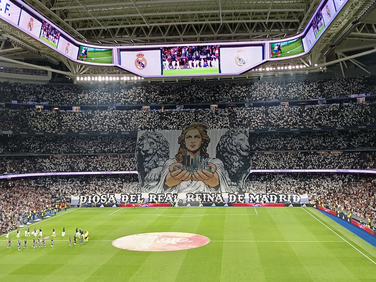 NorthFansRmcf🐺 tweet media