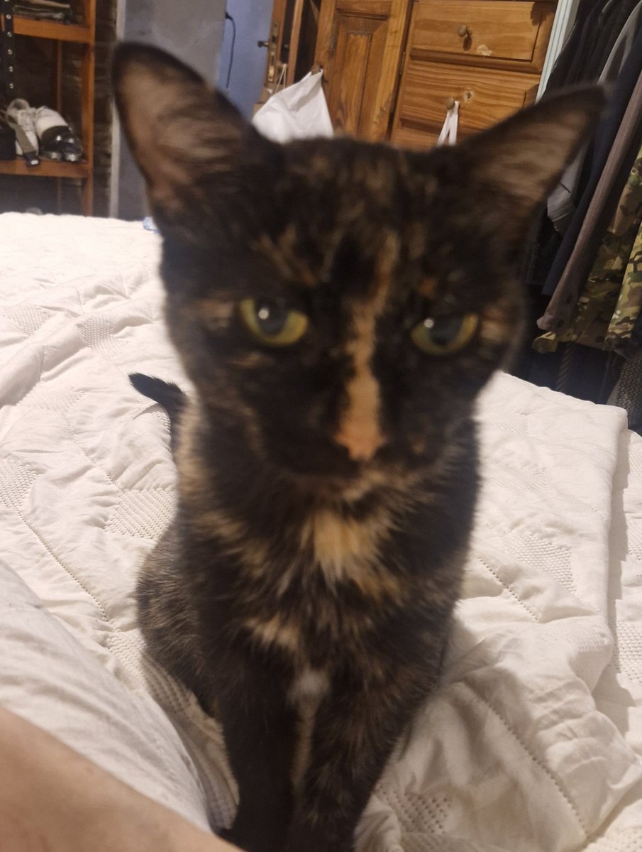 Lilia Lemoine 🍋 tweet media