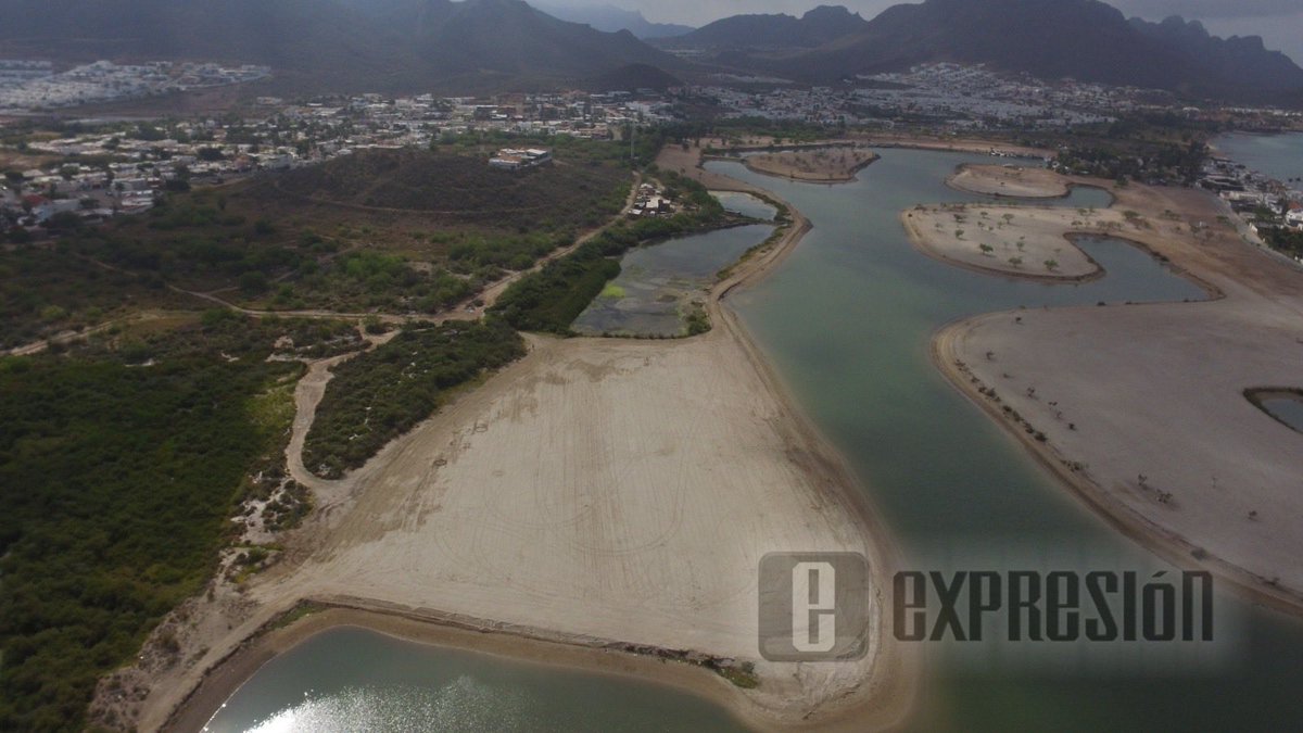 expresion guaymas tweet media