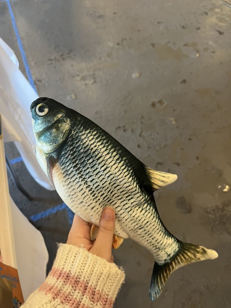 snoozy 🦭🎀 【SVA】➡️ CARRIER CON tweet media