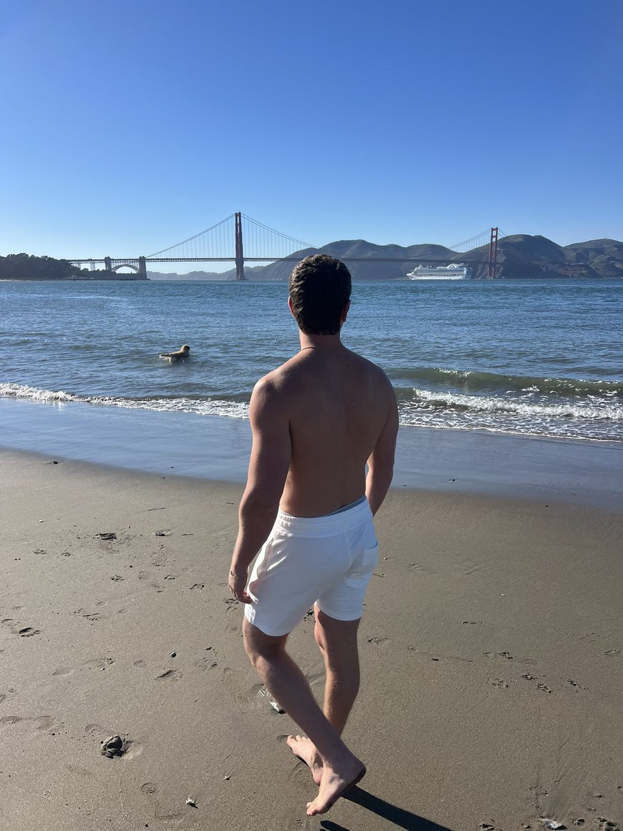 zaf 🌞🛩️ tweet media