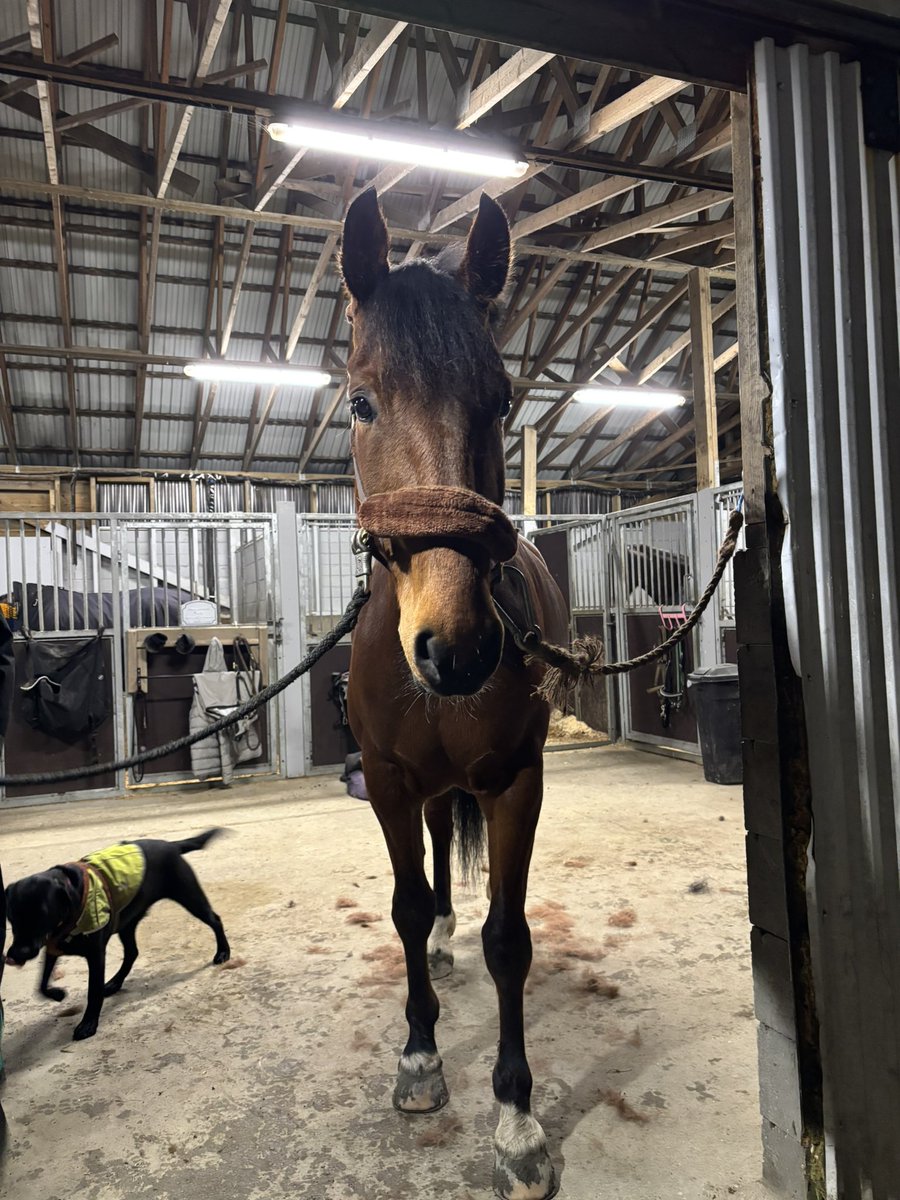 Minawawa 💫 tweet media