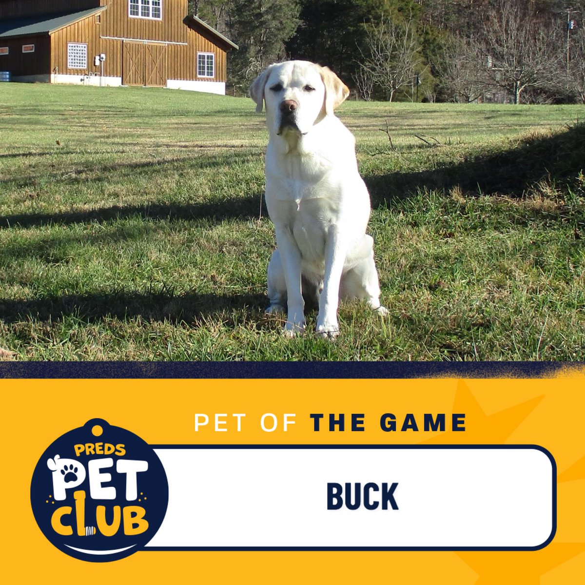 Nashville Predators Foundation tweet media