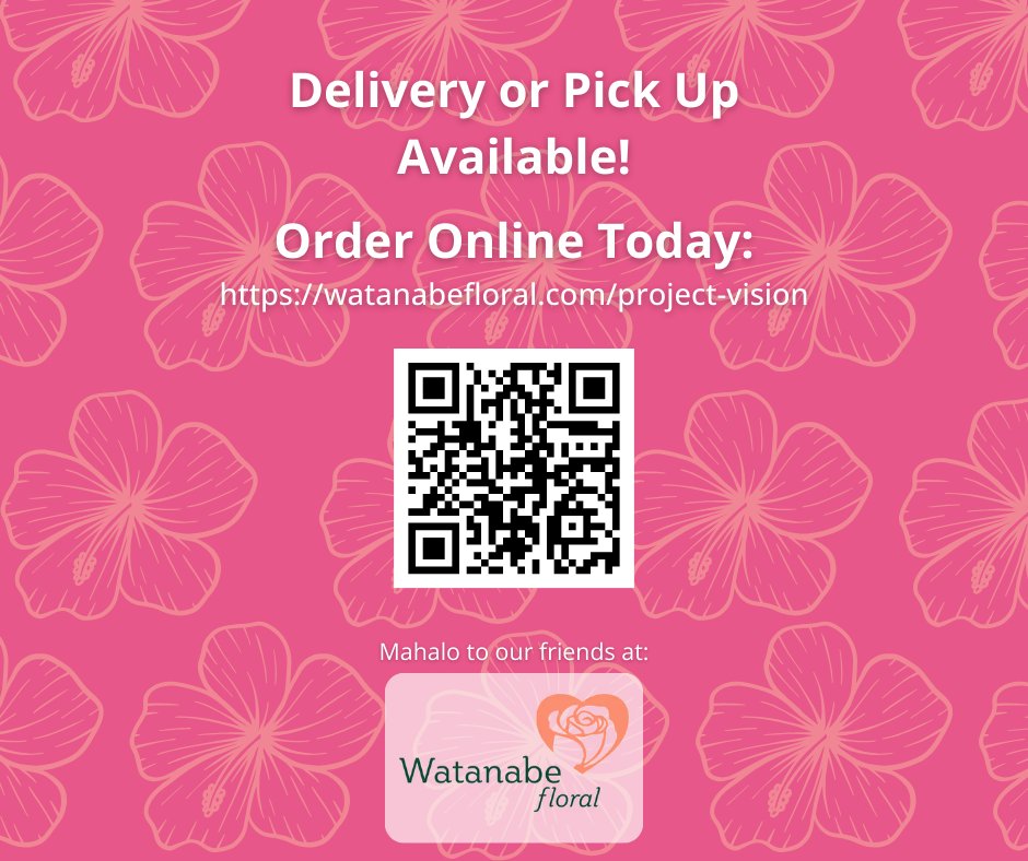 Project Vision Hawaii tweet media