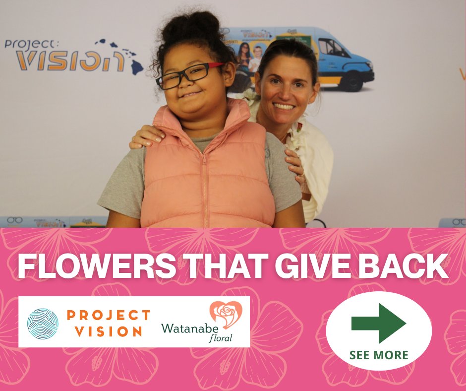 Project Vision Hawaii tweet media