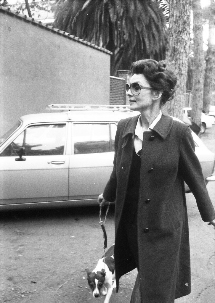 Jenny Difficult-Frecklington-Jones 🇵🇸🍉🇮🇷 tweet media