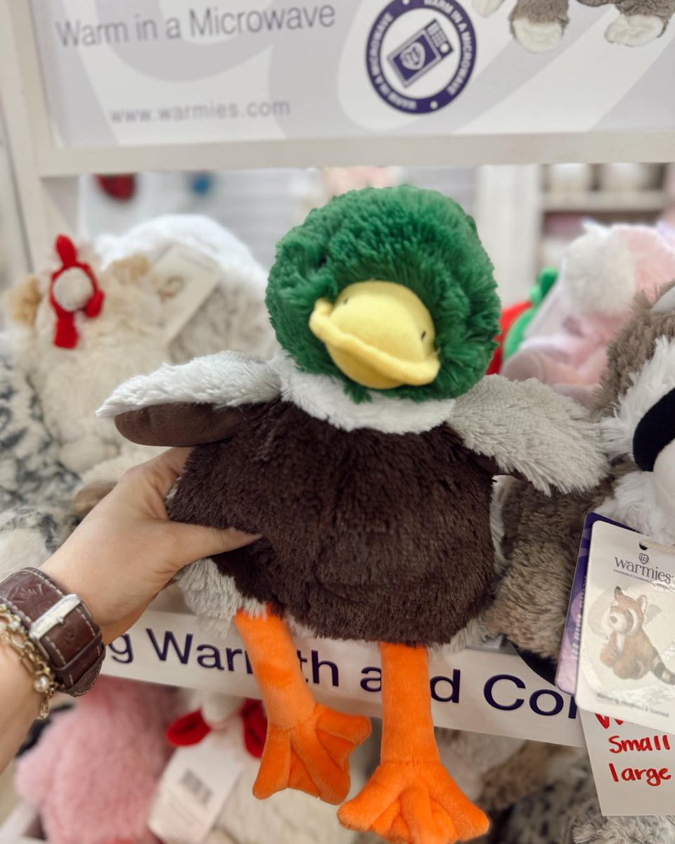 Old 96 District tweet media