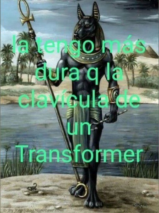 chincheto pirata somali tweet media