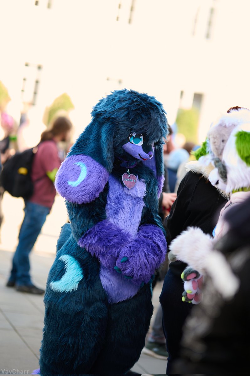 LunaryTheBun 🔜EF tweet media