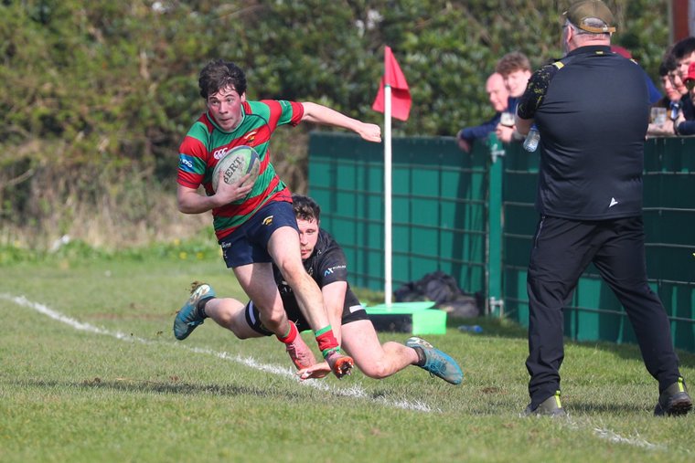 Donaghadee Rugby Club tweet media