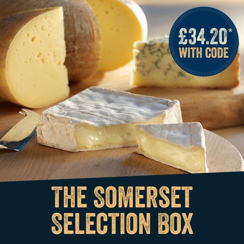 PongCheese's tweet image. Our #Easter #Cheese range showcases a range of fantastic young ewe’s and goat’s milk perfect for spring. The range includes The Pong Cheese Explorer Box, The Italian Selection Box, The Best Of British Tasting Box &amp;amp; more. 10% off* Easter with code EASTER26. buff.ly/1mpxReF