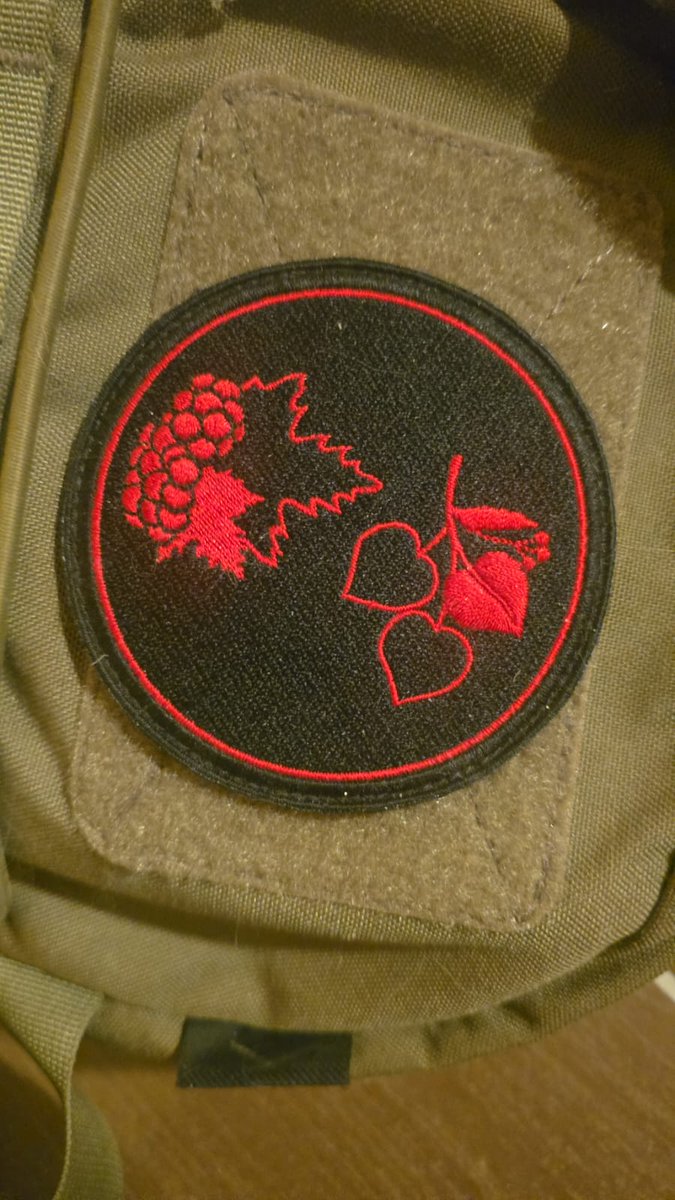 Modřanská kapybara tweet media