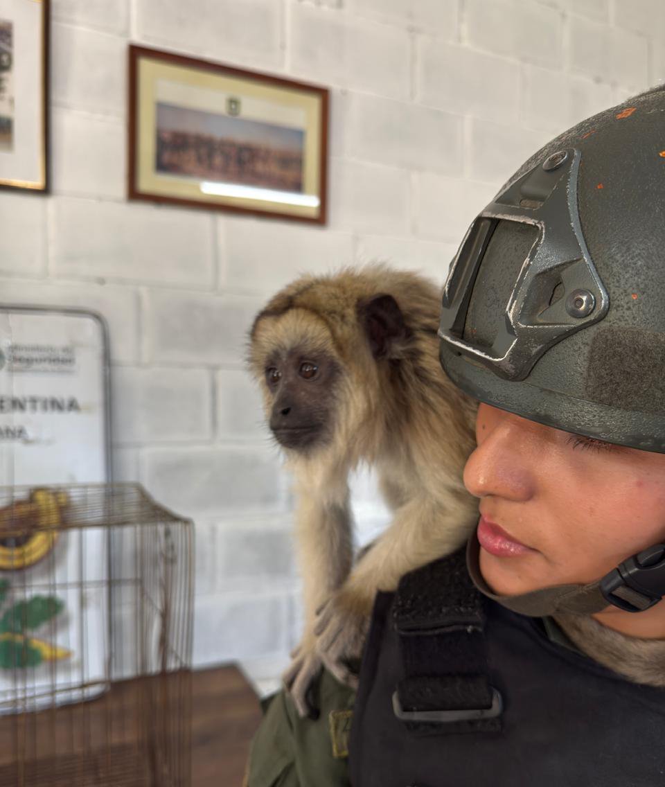 Hechos y Derecho tweet media