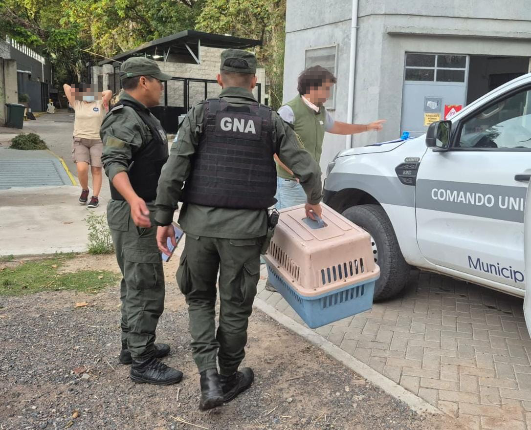 Hechos y Derecho tweet media