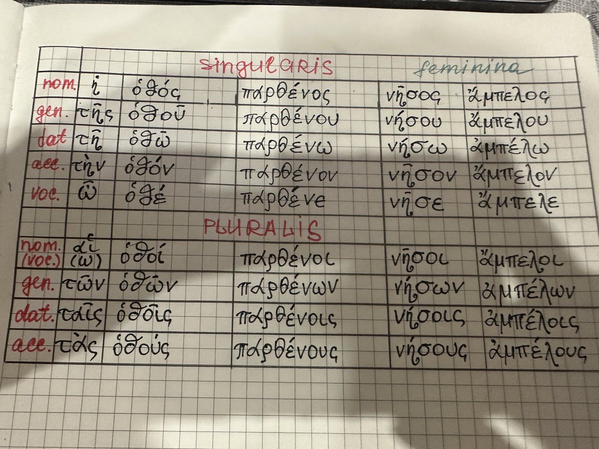 зарєма заубієвна tweet media