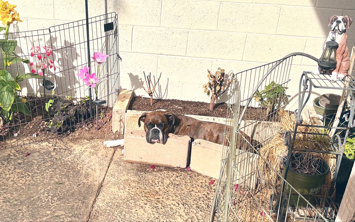 Chelsea Newman tweet media