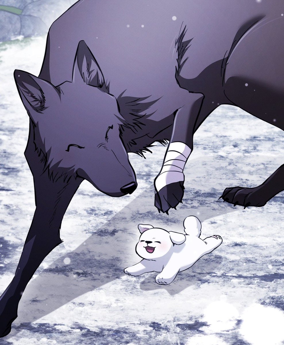 Mabel 🐧 tweet media