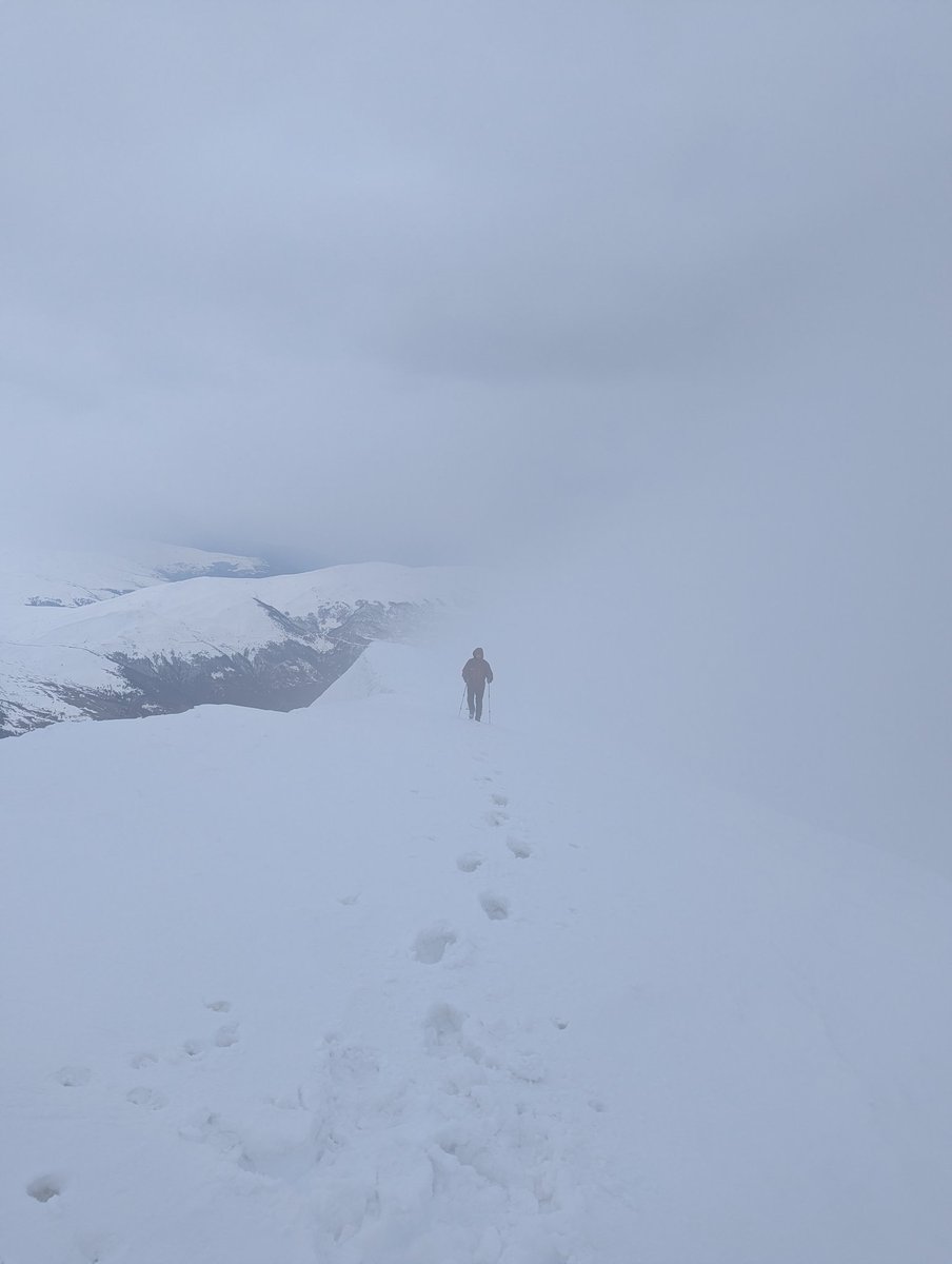 Demush Shasha tweet media